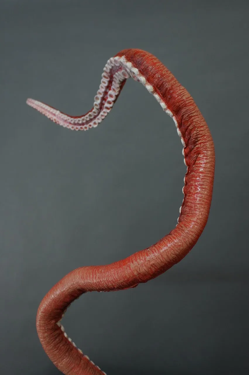 5ft Long Poseable Giant Octopus Tentacle