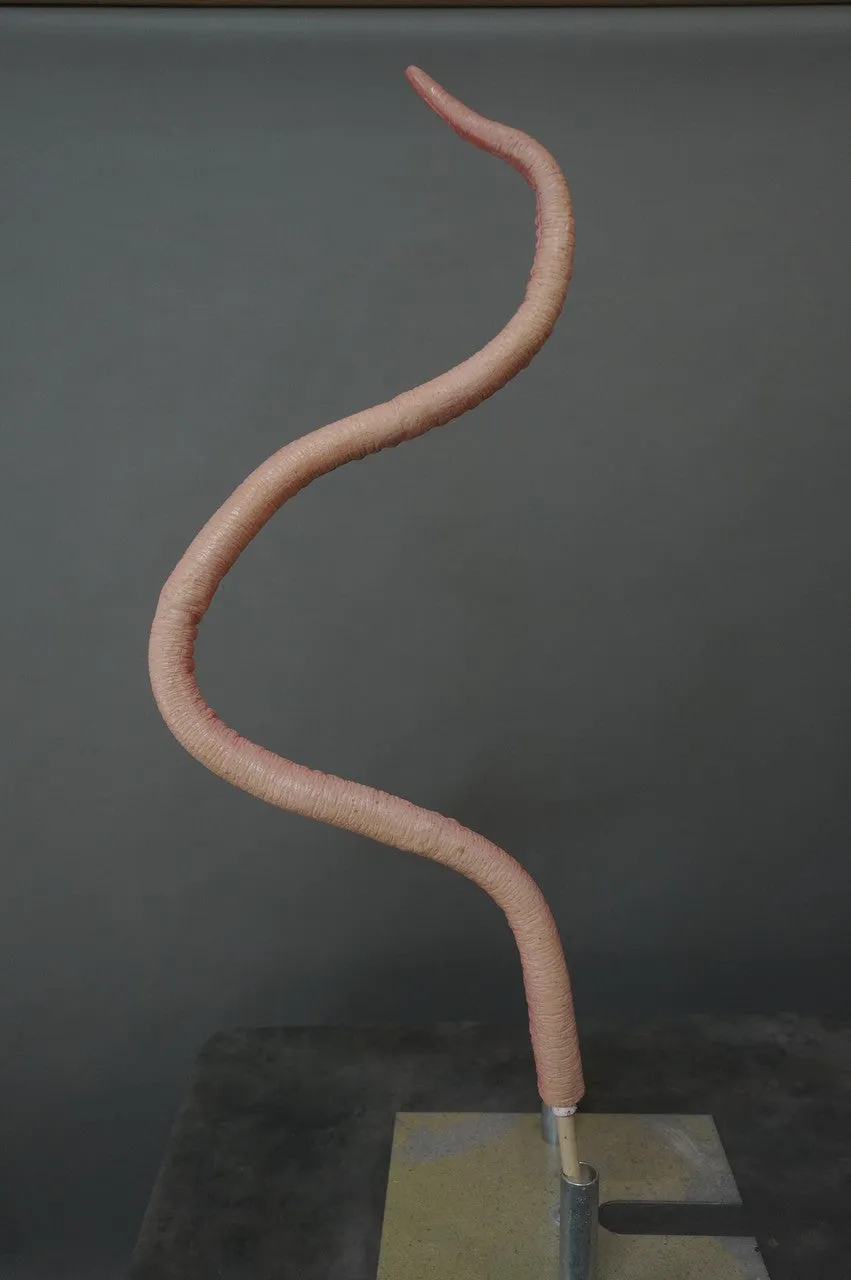 5ft Long Poseable Giant Octopus Tentacle