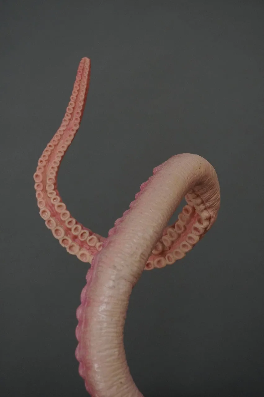 5ft Long Poseable Giant Octopus Tentacle