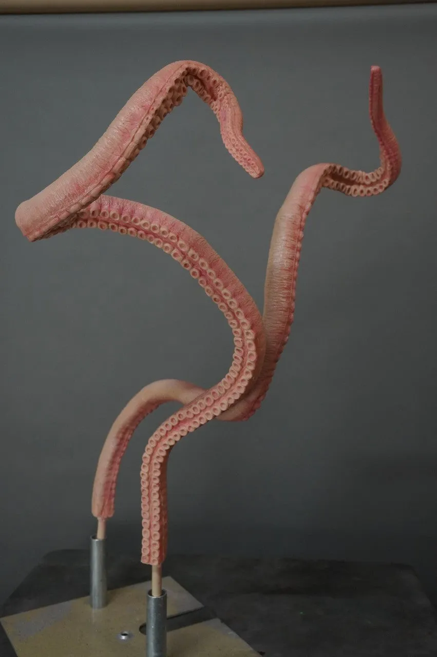 5ft Long Poseable Giant Octopus Tentacle