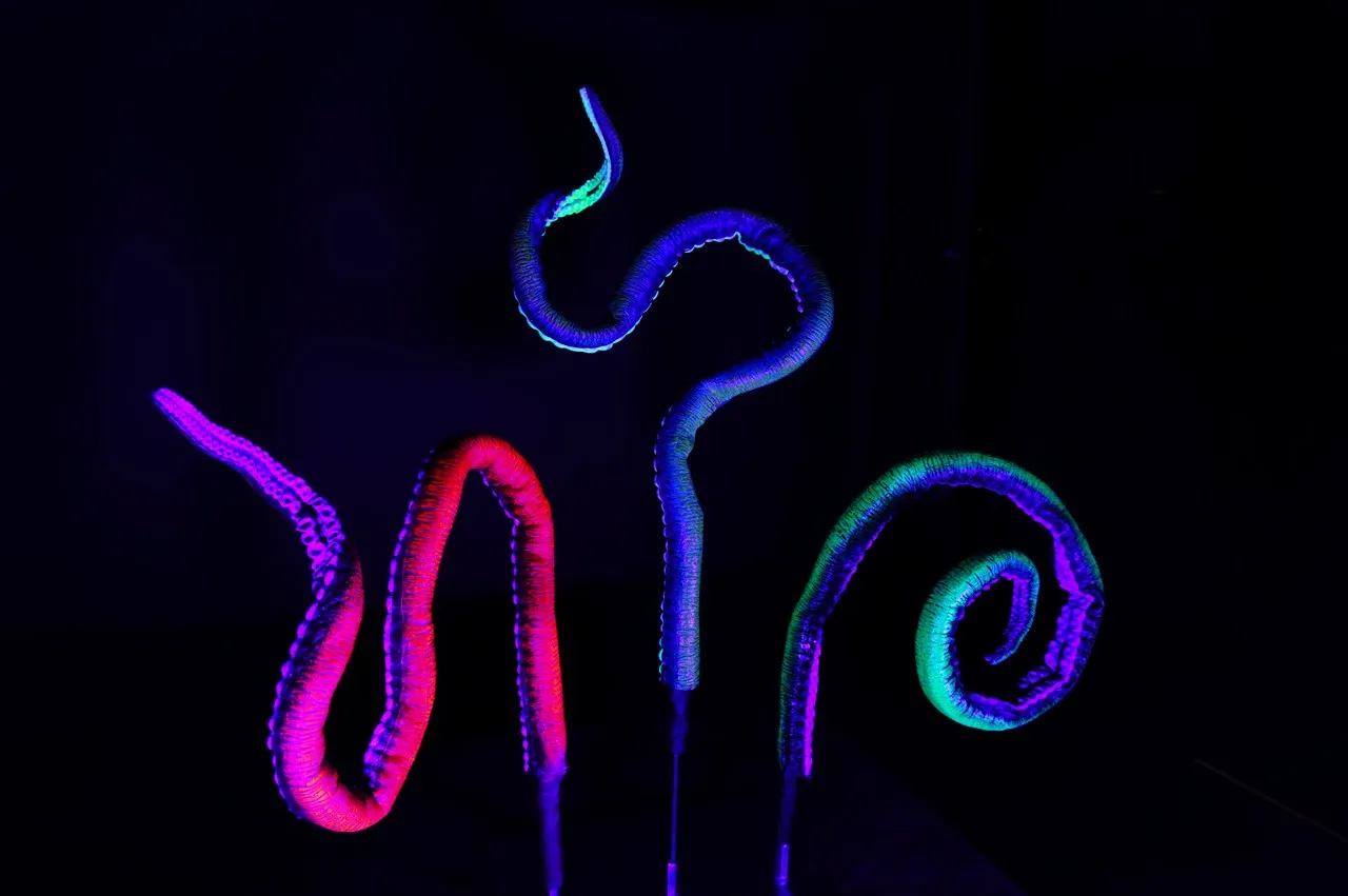 5ft Long Poseable Glow Giant Octopus Tentacle